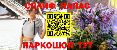 СК Моздок