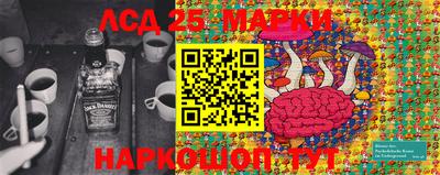 СК Моздок