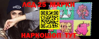 кокс Можга