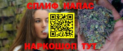 СК Моздок