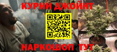 кокс Можга