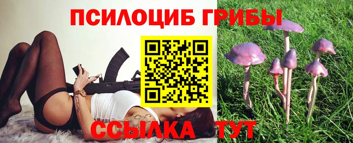 Галлюциногенные грибы мицелий  Вход с VPN  купить наркотик  Татарск 